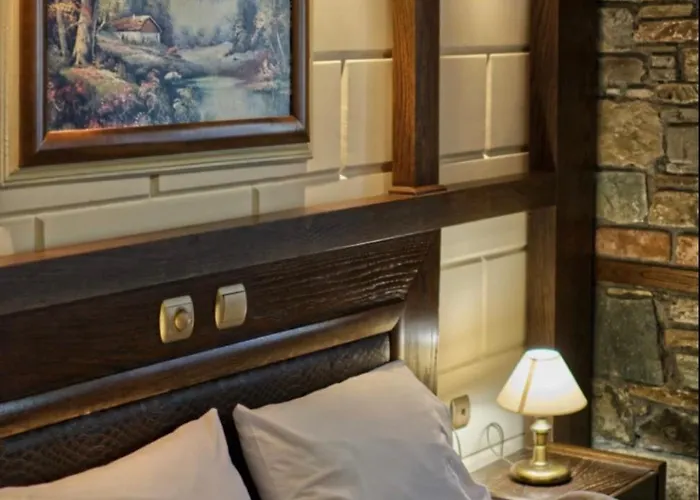 παραδοσιακό 酒店